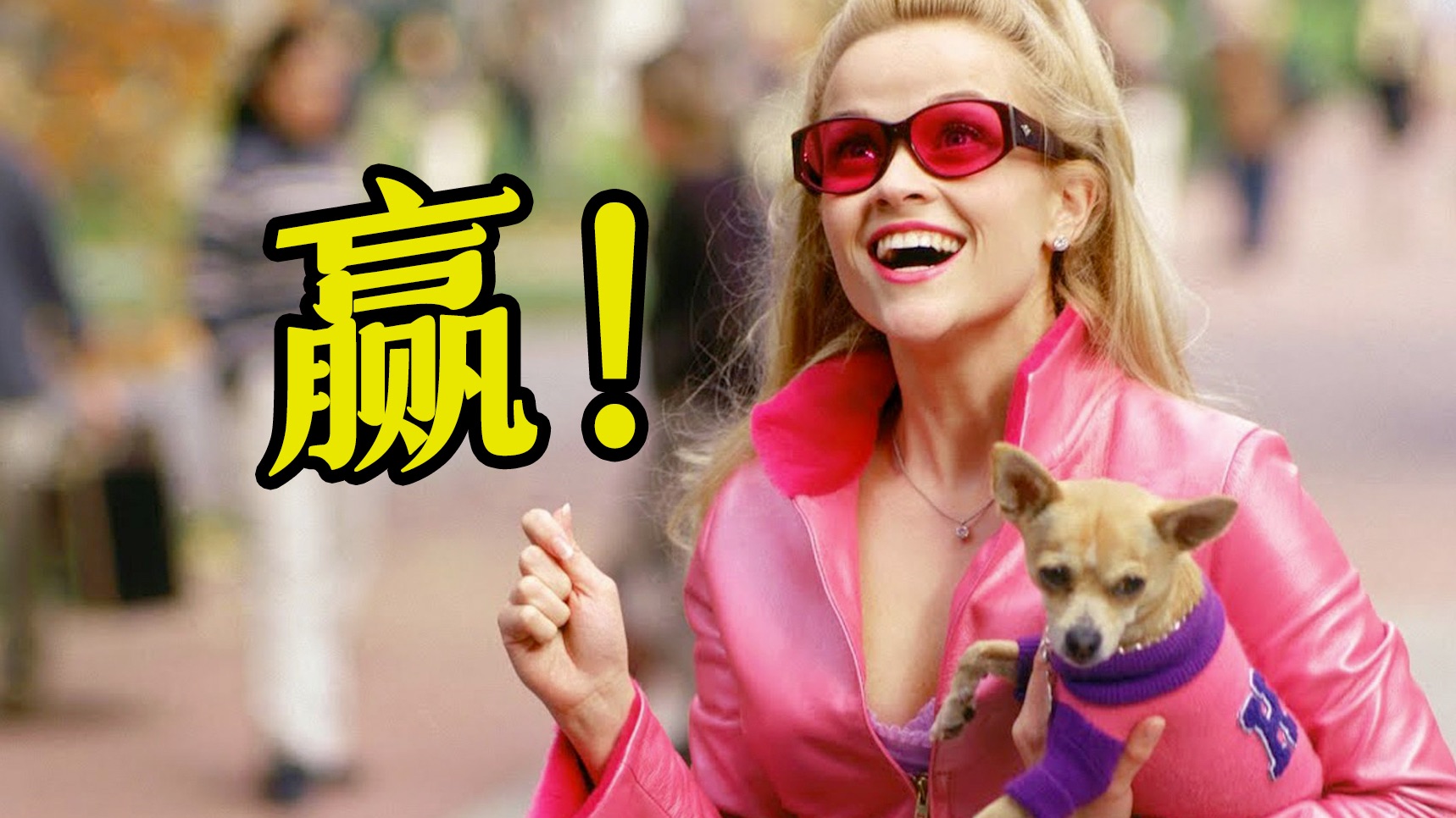 细读经典：粉色芭比横扫哈佛法学院？她赢的不是官司，是偏见！
