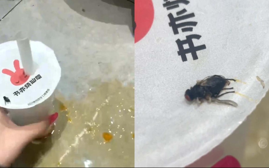 女子称在奶茶中喝出苍蝇索赔1000遭拒，商家：顾客无法提供证据，若是店里责任会赔偿