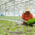 《这十年·幸福中国》植物工厂助力智慧农业