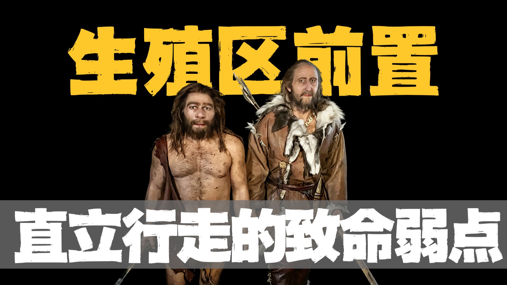 人类遮挡生殖区竟是为了保命？