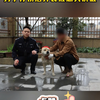 男子凌晨盗窃，乔装路人指错误方向，被狗子识破带主人狂追