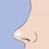 肋骨鼻3D动画视频