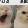 人间真实（梗