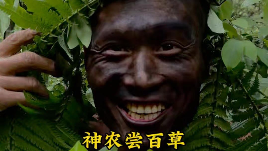 去神农架找神弄怼两口