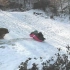 狗狗在雪地里玩耍，好想养一只！
