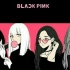 BLACKPINK  玩火 (PLAYING WITH FIRE) MV 中韩双语字幕