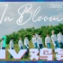 【MV鸡赏】zb1《In Bloom》mv reaction