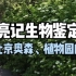 【亮记生物鉴定】认认北京奥森、植物园的花