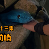 大白蛇专治不安分的小手。《前哨