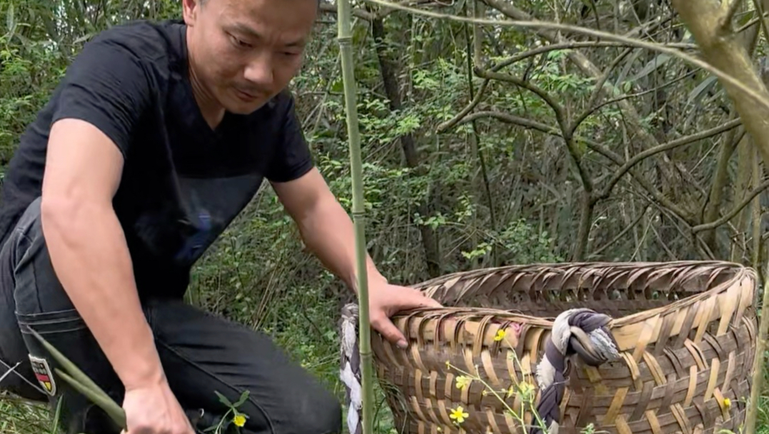笋根本拔不完