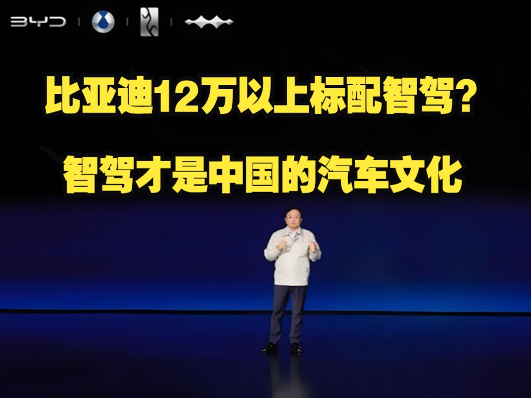 比亚迪12万以上要标配智驾?智驾才是中国的汽车文化(孙少军直播切片)哔哩哔哩bilibili