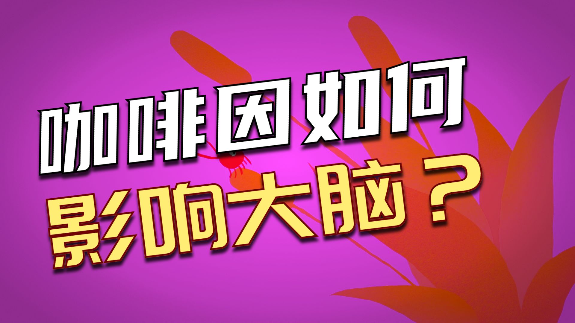 为什么咖啡因会让我们保持清醒？【TED-Ed】