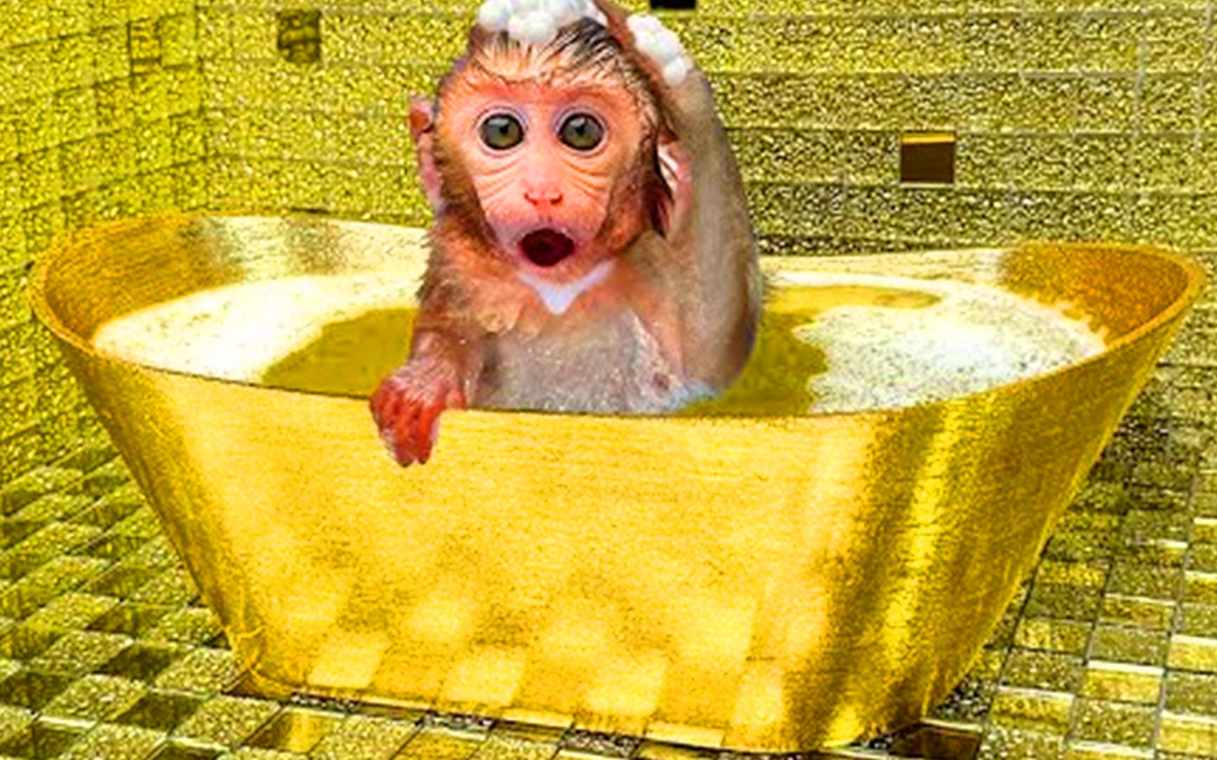 洗澡的猴子图片素材-编号25026050-图行天下