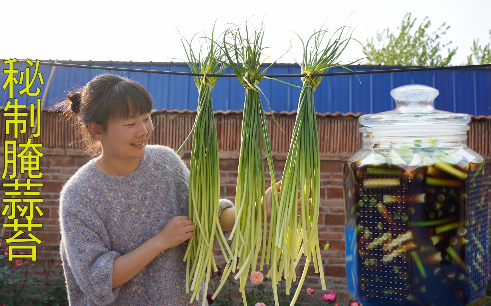 妈妈喜欢的腌蒜薹，莹莹一次做五斤，放半年不会坏