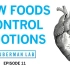 食物和营养如何控制我们的情绪【Huberman Lab Ep. 11】