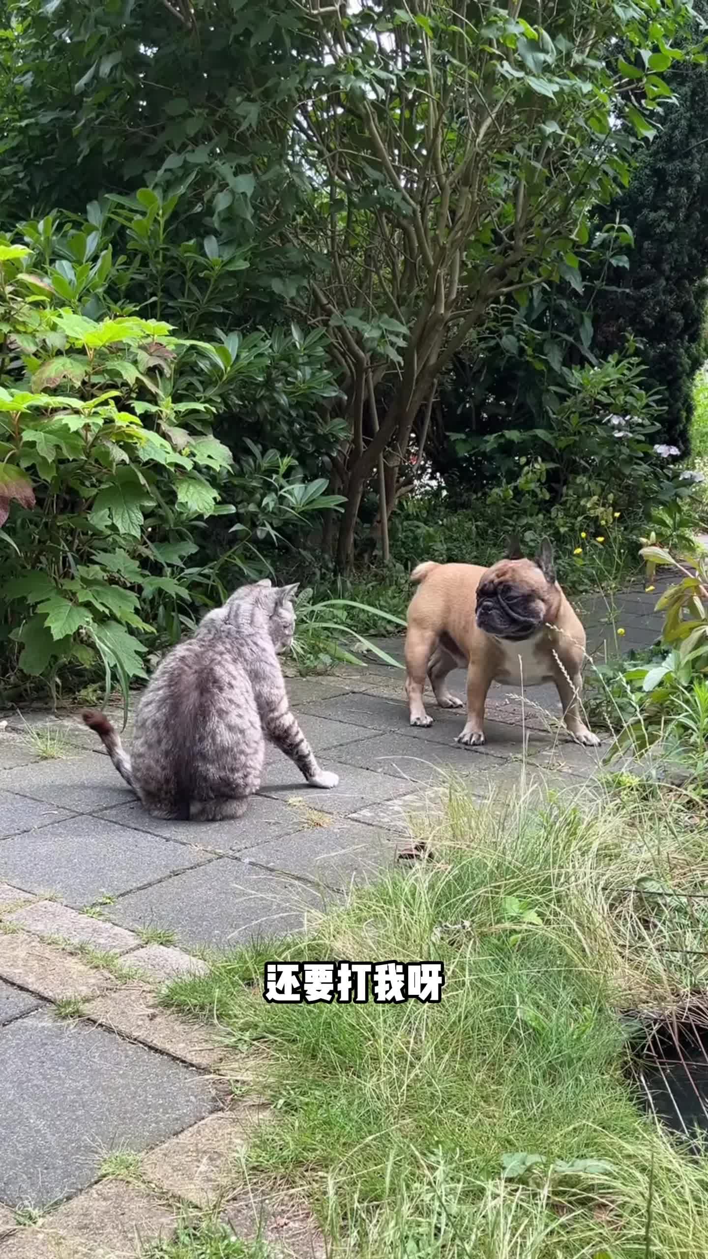 你说这不是天大的误会吗