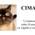 [CIMAT] * Conferencia sobre D-modules en Algebra Conmutativa
