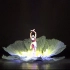独舞《荷花语声》【中国银行惠州分行】第三届广东岭南舞蹈大赛