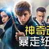 纽特的箱子，如何撬动整个美国魔法界？《神奇动物在哪里》细节详解