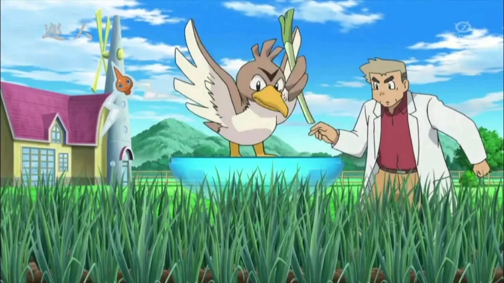 自带配料的大葱鸭