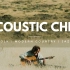 洗耳系列-【BGM歌单】【原声吉他】Acoustic Chill Instrumental _ Indie Folk _