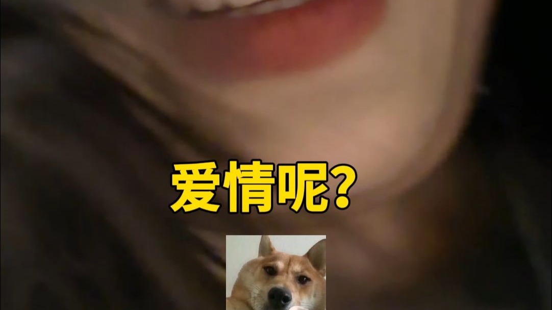 字幕下载
