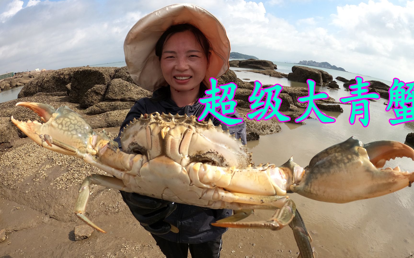 吴嫂上小半岛赶海，抓获赶海2年以来最大的青蟹，一只直接爆桶了