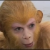 西游记 第一集《猴王初问世》 4k高清版。