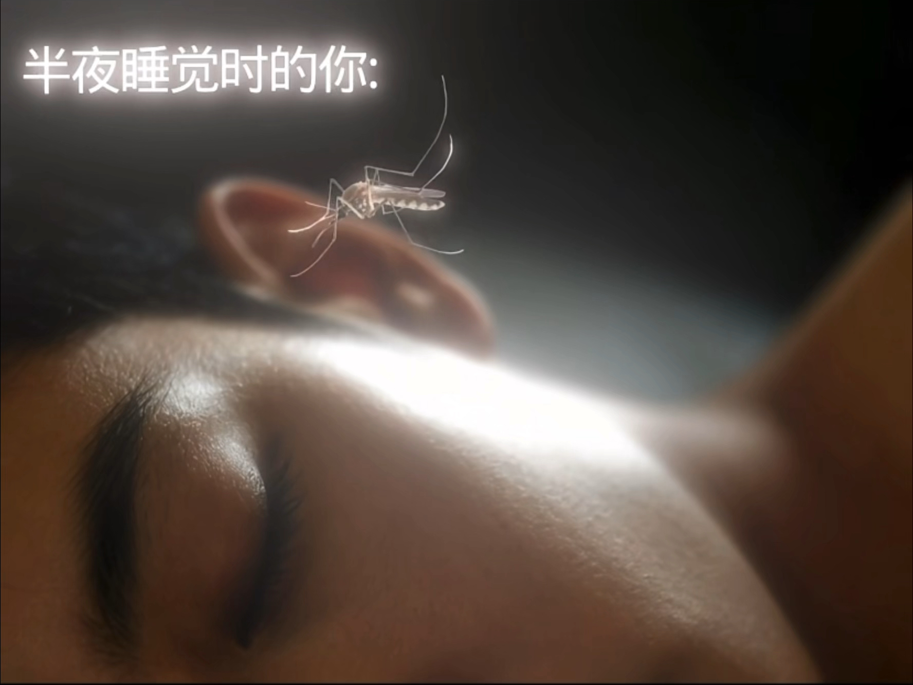 中长跑进行曲