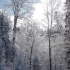 可商用视频素材之2个唯美雪景冬天