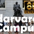 哈佛大学的校园是什么样子的？ 航拍哈佛大学 世界顶尖名校 年轻多努力 就有希望 风景欣赏