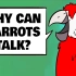 【TED科普】为什么鹦鹉会说话？（中英字幕）