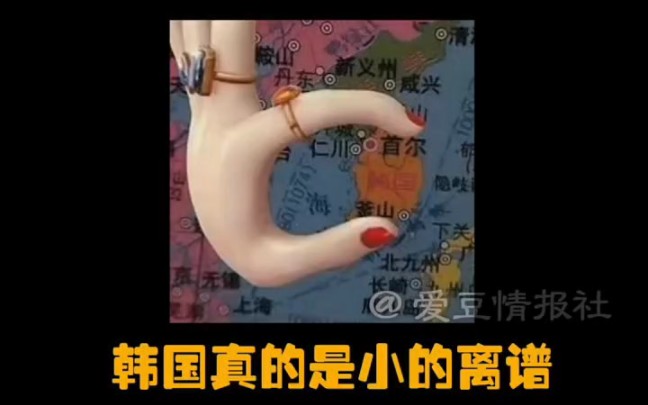 #韩国 你要实在不行 就别和你爹地bb赖赖 #秋瓷炫 不愧是中国儿媳哔哩哔哩bilibili