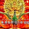 佛母大孔雀明王心咒