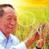 发展杂交水稻，造福世界人民
