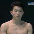【央视解说】2022世锦赛跳水男子三米板半决赛 全场回放 王宗源、曹缘分列一二位晋级