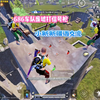 686车队齐聚废墟打信号枪，决赛圈用新疆话与粉丝交流_网络游戏热门视频