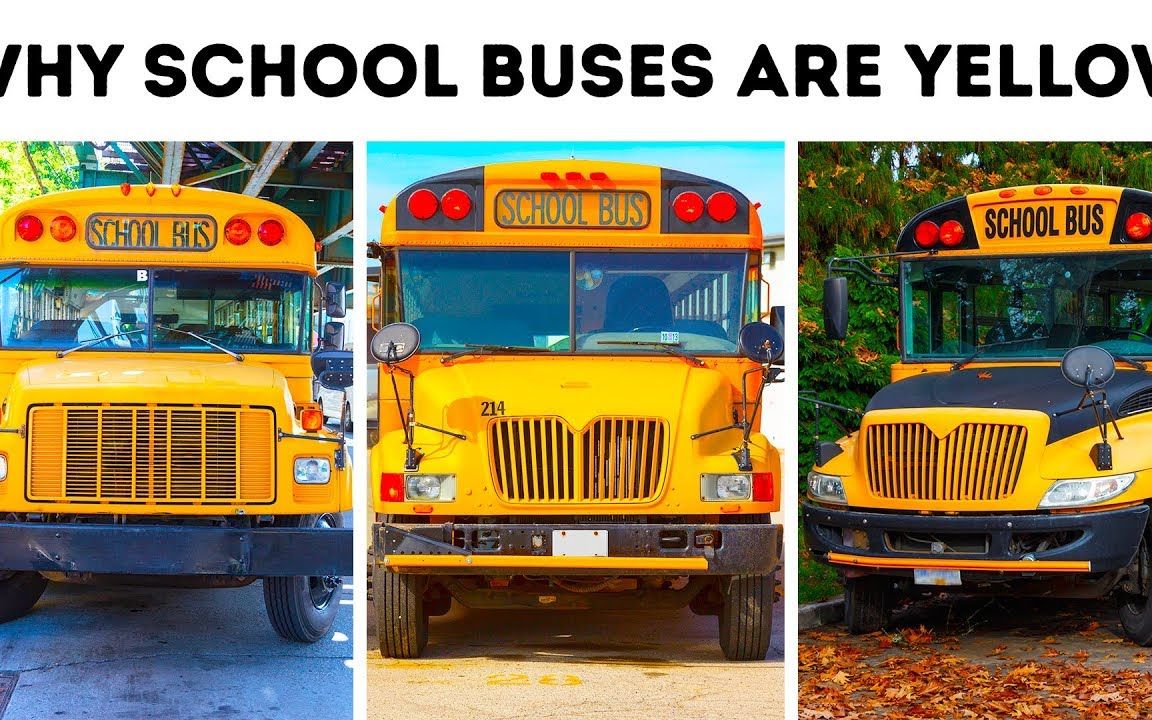 为什么校车都是黄色或者黄橙色的？看完这些你就明白了！@油兔不二字幕组