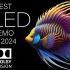 8K -2024 年最佳 OLED 演示 I屏幕测试，极致画质|杜比视界|电视屏幕测试|手机屏幕测试 8K HDR 12