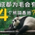成都周边的4个熊猫基地【有什么区别？】一次性捋清楚！