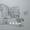 新来的报道：爱画画的晓蕊