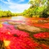 世界上最美丽的河流，被称为液体彩虹，每年仅有5个月如此绚烂