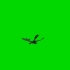 绿幕抠像飞翔的龙视频素材