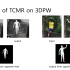 CVPR 2021 |  三维人体姿态估计 -TCMR（ 时序一致性网格修复系统） Demo