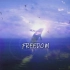 【贝贝/AZ啊之】Freedom音乐歌词字幕视频