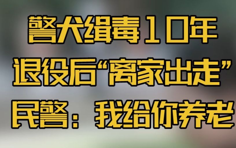 警犬缉毒10年,退役后“离家出走”,民警:我给你养老哔哩哔哩bilibili