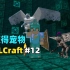 我的世界RLCraft生存12：发现恐怖生物地牢，获得三只宠物！