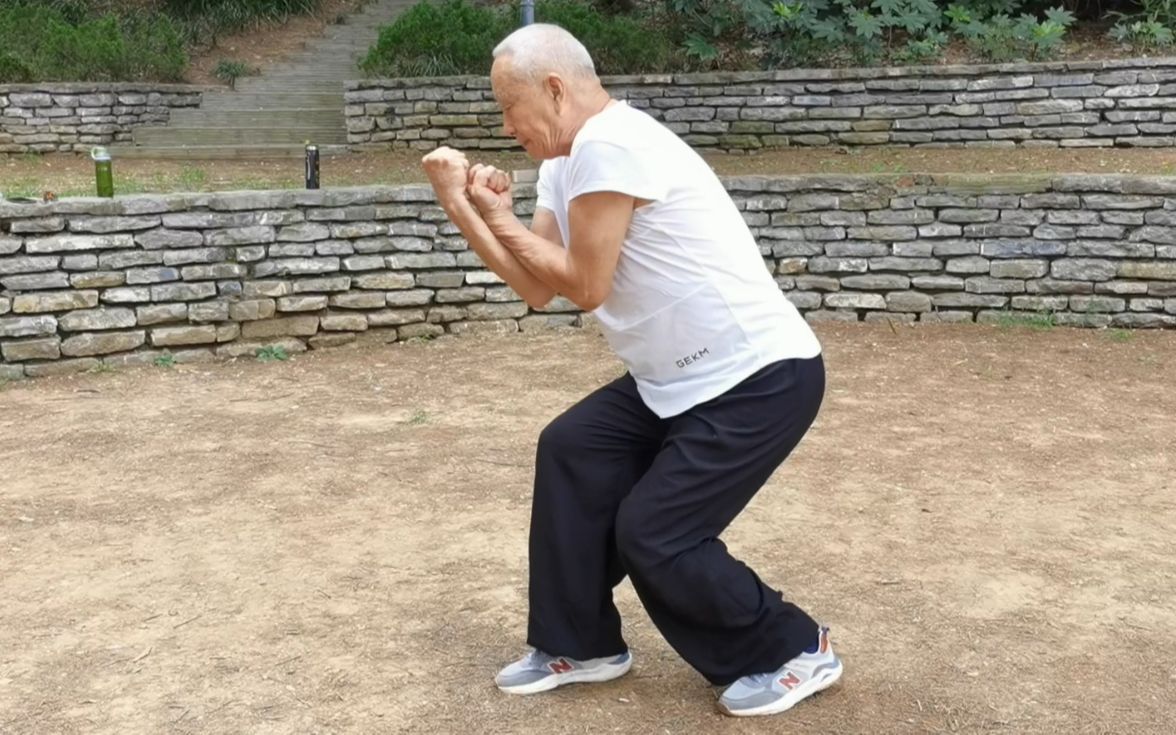 心意六合拳名家张宁卫老师讲解演练十大形之马形，心意爱好者必看！