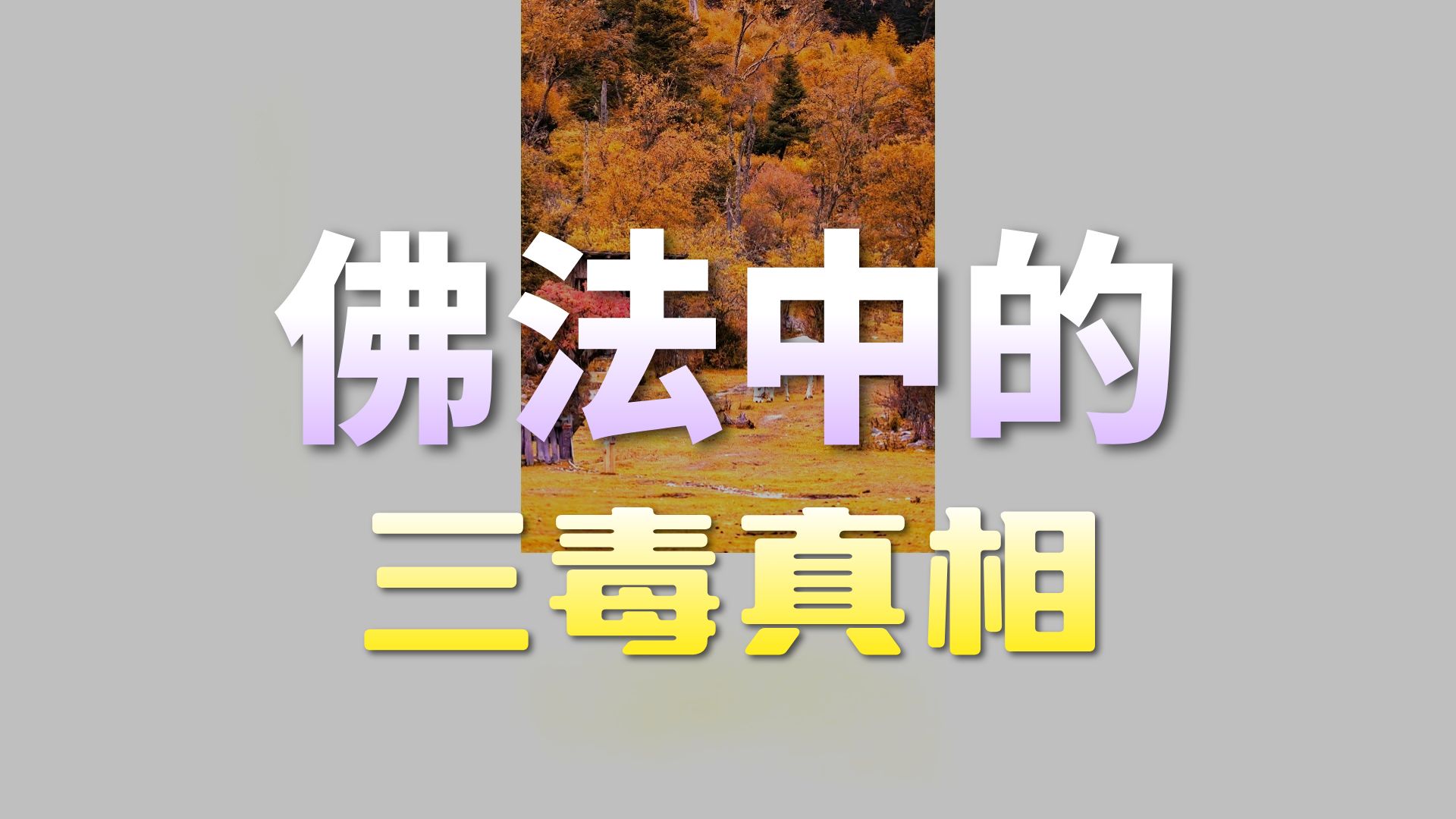 体佛法师开示：三毒性是佛性