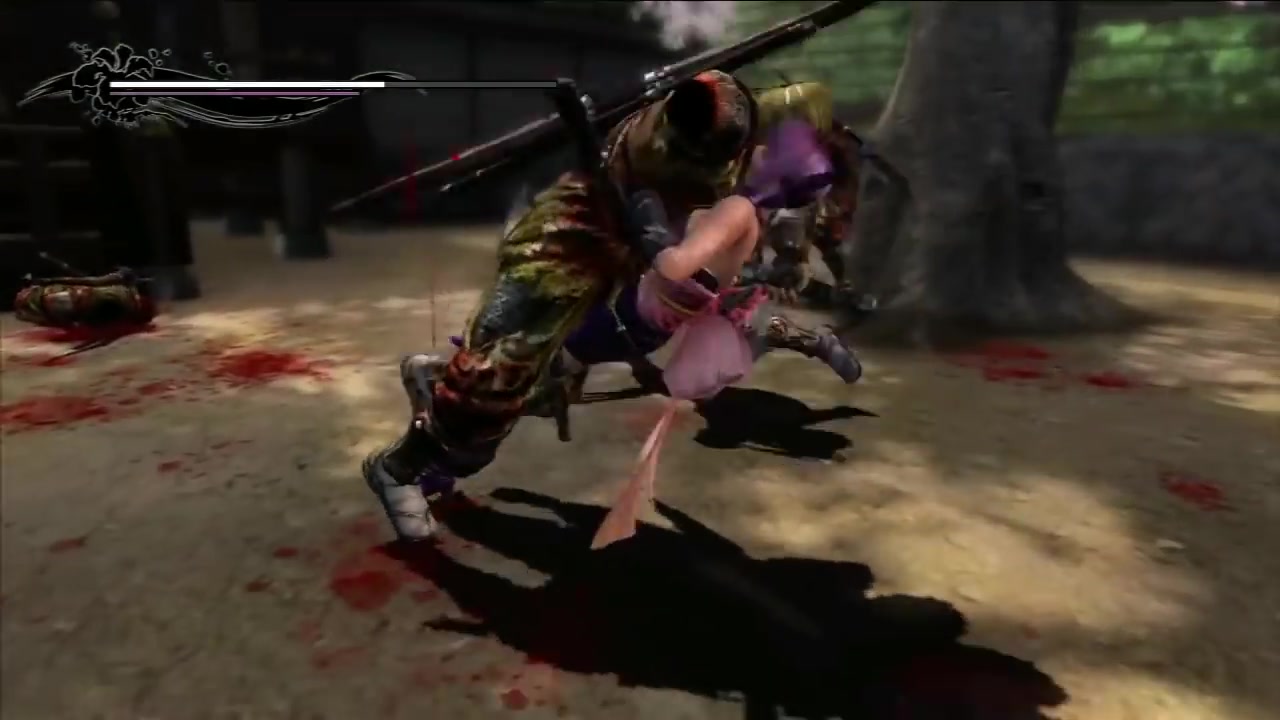 ninja gaiden 3re あやね ryona